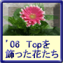2006年Topの花たち